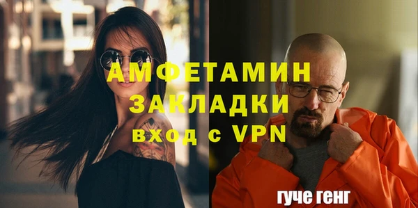 молекула духа Богородицк