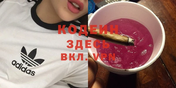 молекула духа Богородицк