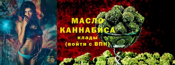 молекула духа Богородицк