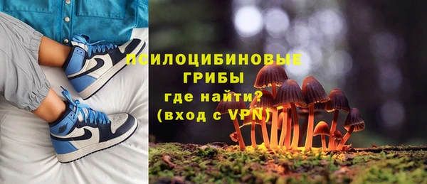 ALPHA-PVP Богородск