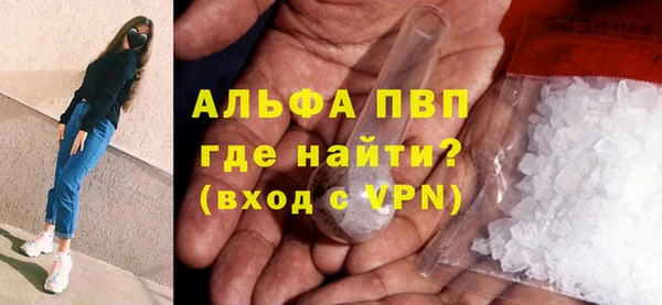 молекула духа Богородицк