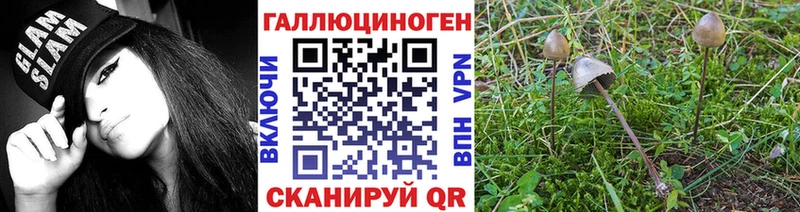 Галлюциногенные грибы Cubensis  как найти закладки  KRAKEN как войти  Добрянка 